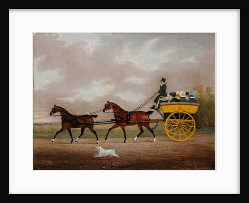 A Gentleman driving Tandem to a Jaunting Car by Edwin W. Cooper