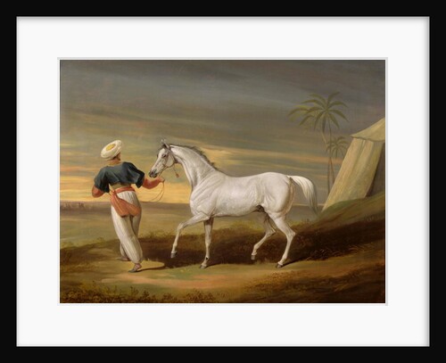Signal, a grey Arab, with a Groom in the Desert by David of York Dalby