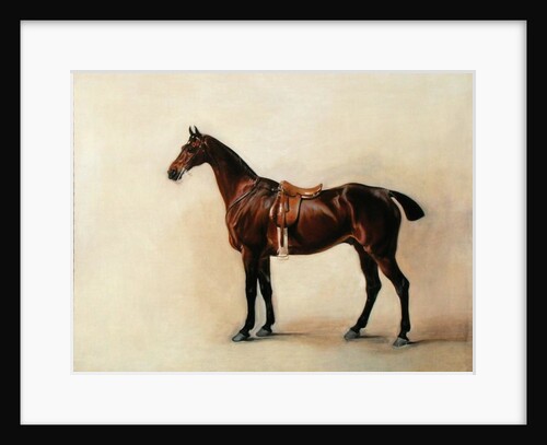 Study of a Saddled Bay Hunter, 1828 by John E. Ferneley