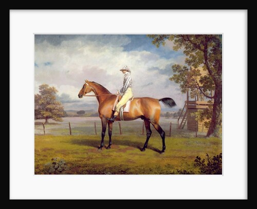 The Duke of Hamilton's Disguise with Jockey Up by George Garrard