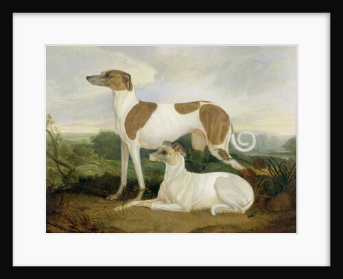 Two Greyhounds in a Landscape by Charles Hancock