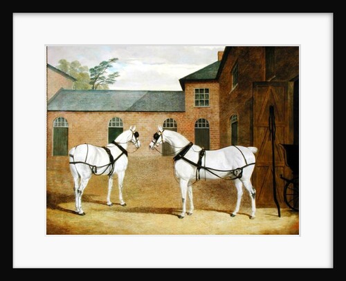 Mr. Sowerby's Grey Carriage Horses in his Coachyard at Putteridge Bury, Hertfordshire, 1836 by John Frederick Herring Snr