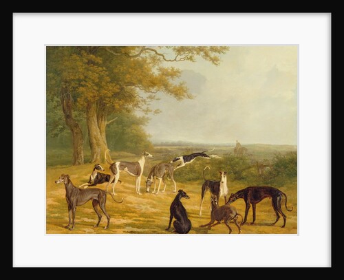 Nine Greyhounds in a Landscape by Jacques-Laurent Agasse