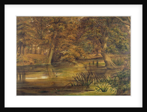 Back Water of the Bratford, 1864 by Edward W. Fitch