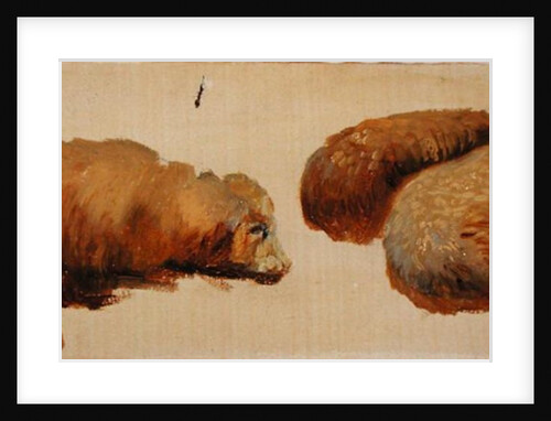 Three Sheep at Rest by Edwin Landseer