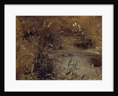 Rushes by a Pool, c.1821 by John Constable