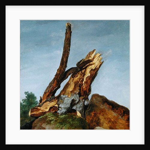 Study of Rocks and Branches, c.1795 by George Augustus Wallis