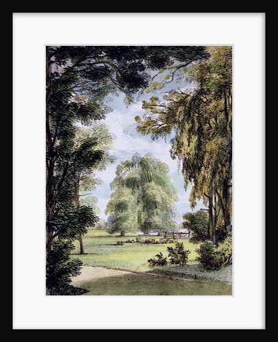 The Sister Trees, Kew Gardens by George Ernest Papendiek