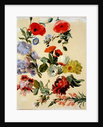 Studies of Summer Flowers by Jacques-Laurent Agasse