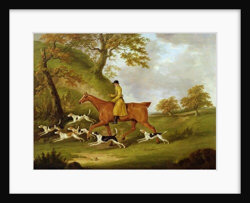 Huntsman and Hounds, 1809 by John Nost Sartorius