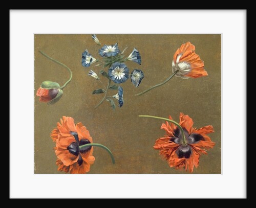 Poppies and Tradascanthus by Swiss School