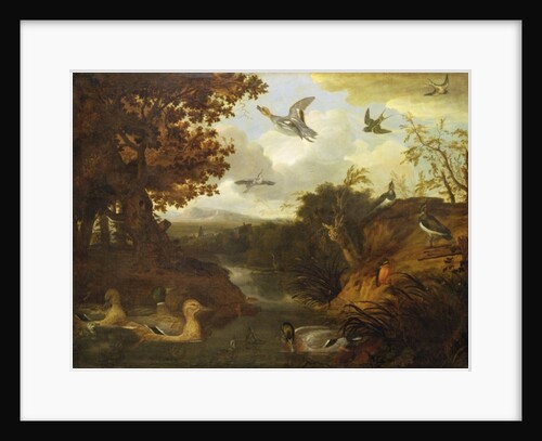 Ducks and other birds about a stream in an Italianate landscape, 1671 by Francis Barlow