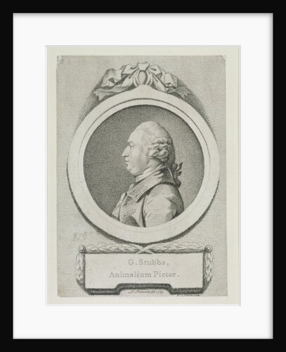 Portrait study of George Stubbs by Pierre-Etienne Falconet