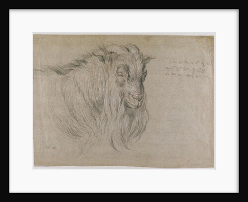 Study of the Head of a Ram by James Ward