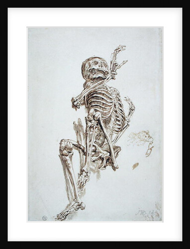 A Human Skeleton by James Ward