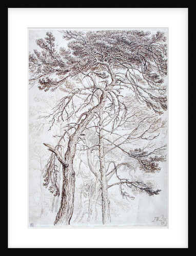 Study of Trees by James Ward