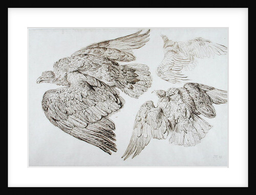 Eagles by James Ward