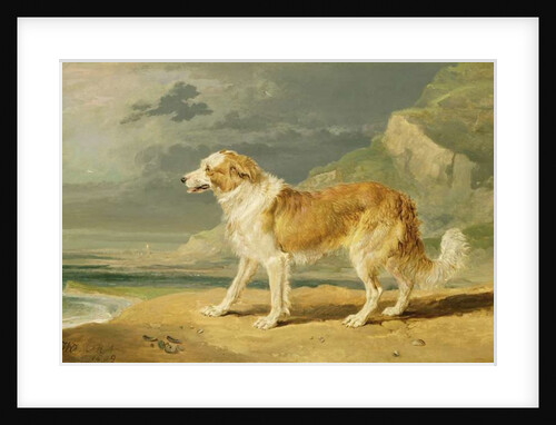 Rough-coated Collie, 1809 by James Ward