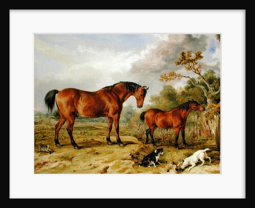Portrait of Reformer, Blucher, Tory and Crib, the Property of Rowland Alston, Esq., 1835 by James Ward