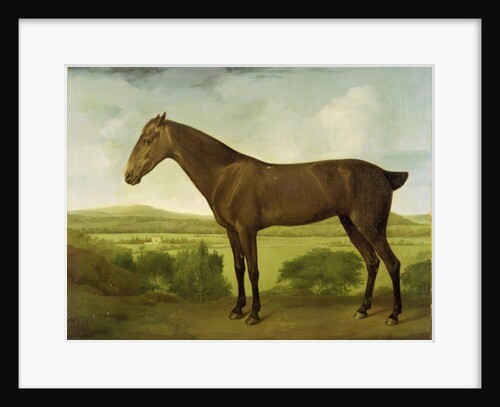 Brown Horse in a Hilly Landscape, c.1780-1800 by English School