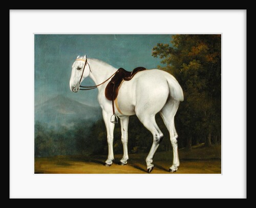 A Lady's Grey Hunter, c.1806 by Jacques-Laurent Agasse