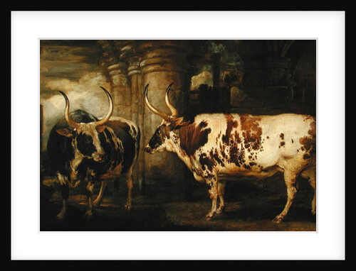 Portraits of two extraordinary oxen, the property of the Earl of Powis, 1814 by James Ward