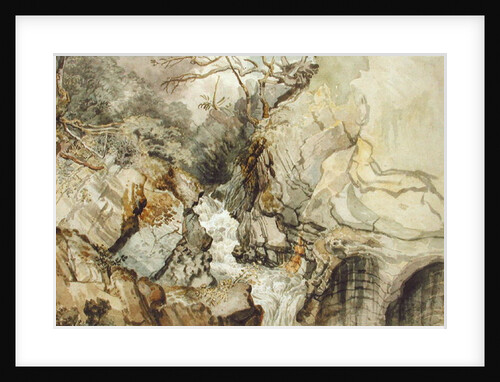 Looking Upwards from Devil's Bridge, Cardiganshire by James Ward