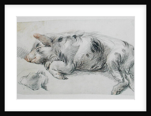 Sleeping Pig by James Ward