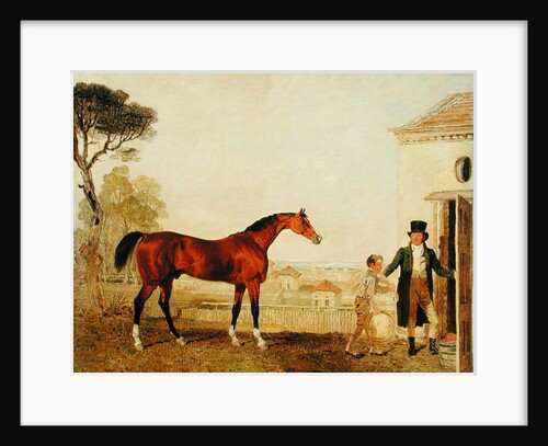 Sultan at the Marquess of Exeter's Stud, Burghley, 1826 by Lambert Marshall