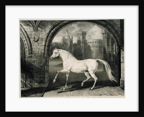 A Persian Horse by James Ward