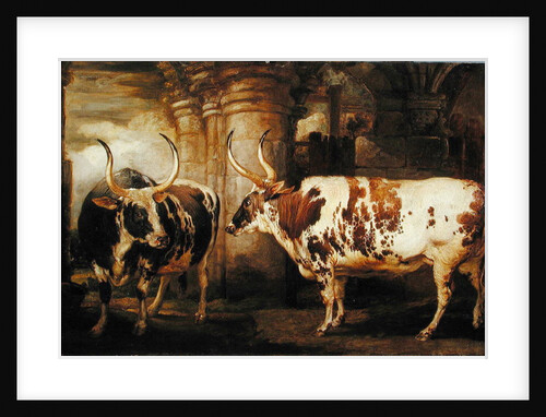Portraits of two extraordinary oxen, the property of the Earl of Powis, 1814 by James Ward