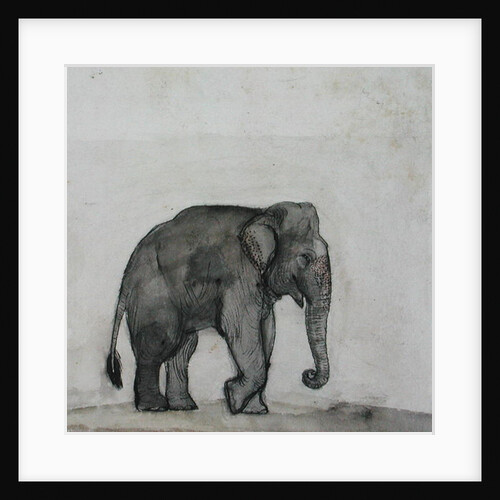 Elephant, c.1790 by Gungaram Tambat