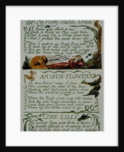 My Pretty Rose Tree and Ah! Sun-flower, and The Lily by William Blake