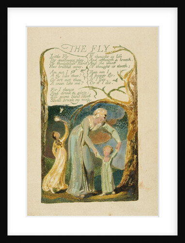 The Fly by William Blake