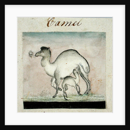 Mother Camel and her Calf by Gungaram Tambat