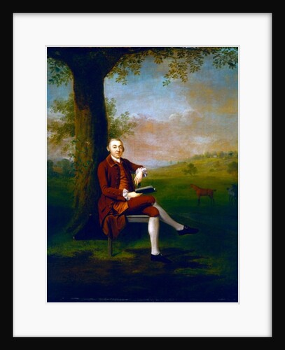 Portrait possibly of John Trevor, 3rd Baron Trevor of St. Anne's Hill, Surrey and Trevalyn Hall, Denbighshire, 1763 by Arthur Devis