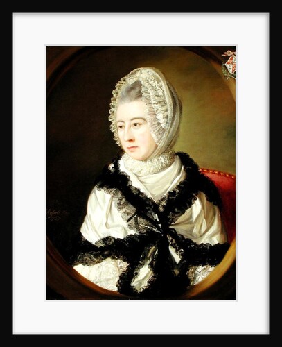 Portrait of a Lady by John Russell