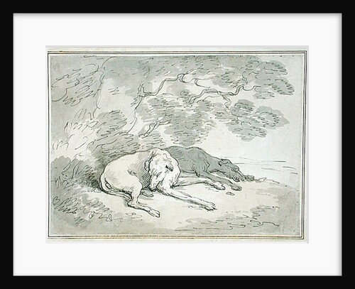 Greyhounds Asleep, by Thomas Rowlandson