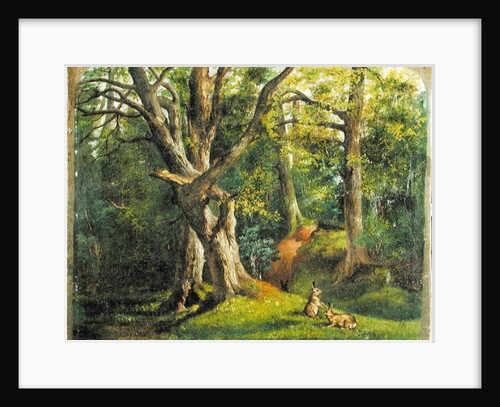 Woodland Scene with Rabbits, 1862 by Hubert von Herkomer