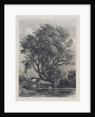 The Willow by Samuel Palmer
