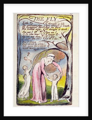 The Fly by William Blake