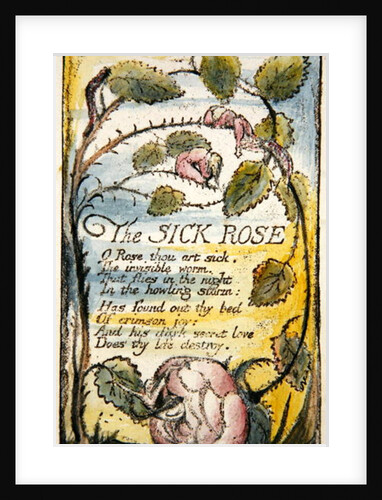 The Sick Rose by William Blake