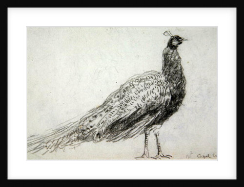 Peacock at Capel Curig, c.1845 by David Cox