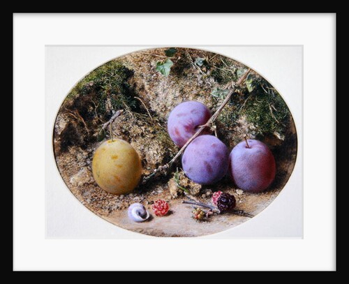 Plums and Mulberries, c.1860 by William Henry Hunt