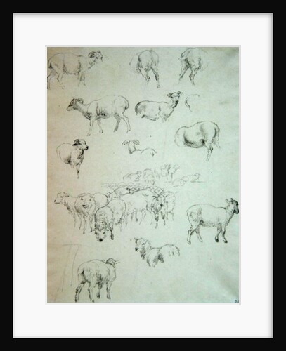 Flock of Sheep, after 1794 by Robert Hills