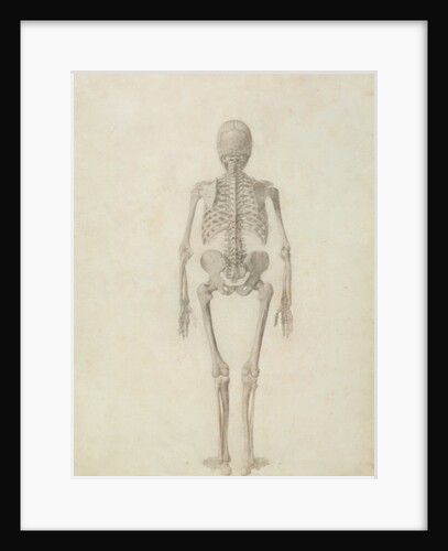 A Comparative Anatomical Exposition of the Structure of the Human Body with that of a Tiger and a Common Fowl by George Stubbs