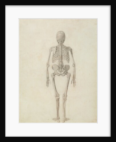 A Comparative Anatomical Exposition of the Structure of the Human Body with that of a Tiger and a Common Fowl: Human Skeleton, Posterior View, 1795-1806 by George Stubbs