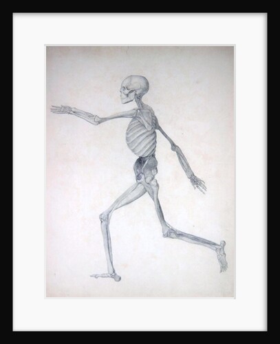 A Comparative Anatomical Exposition of the Structure of the Human Body with that of a Tiger and a Common Fowl: Human Figure, Lateral View, 1795-1806 by George Stubbs