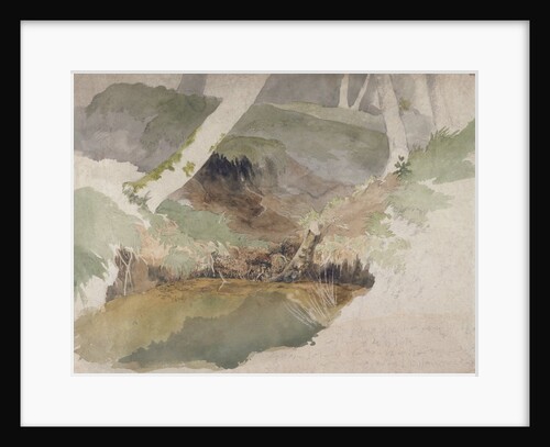 Forest Pool by Robert Hills