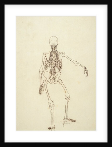 Study of the Human Figure, Posterior View by George Stubbs